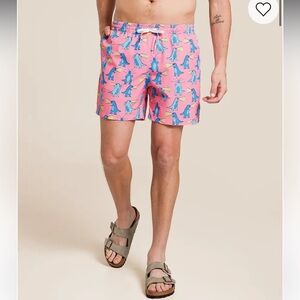 Chubbies The Hear Me Roars Stretch Swim Trunks 5.5” Medium